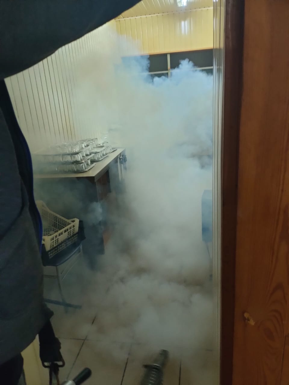 уничтожение клопов горячим туманом в Москве