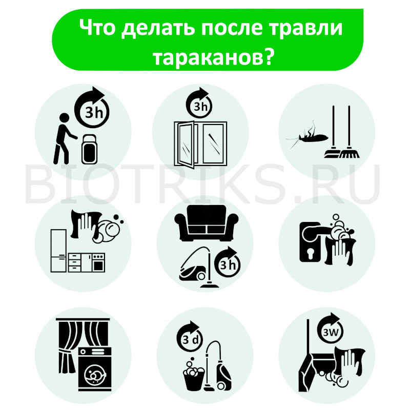 Что делать после дезинфекции квартир и помещений от тараканов в Сергиевом Посаде?