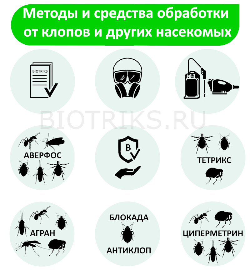 Методы и эффективные средства обработки квартир и домов от постельных клопов в Сергиевом Посаде 