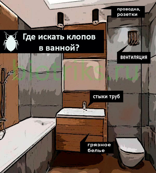 Где живут клопы в ванной комнате в домах Балаково?