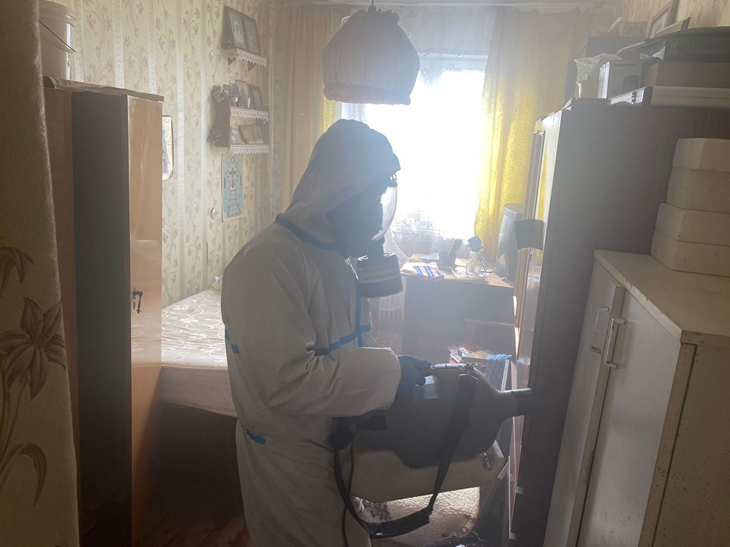 Особенности эффективной травли постельных клопов и домашних тараканов дезинсекторами в Конаковском районе