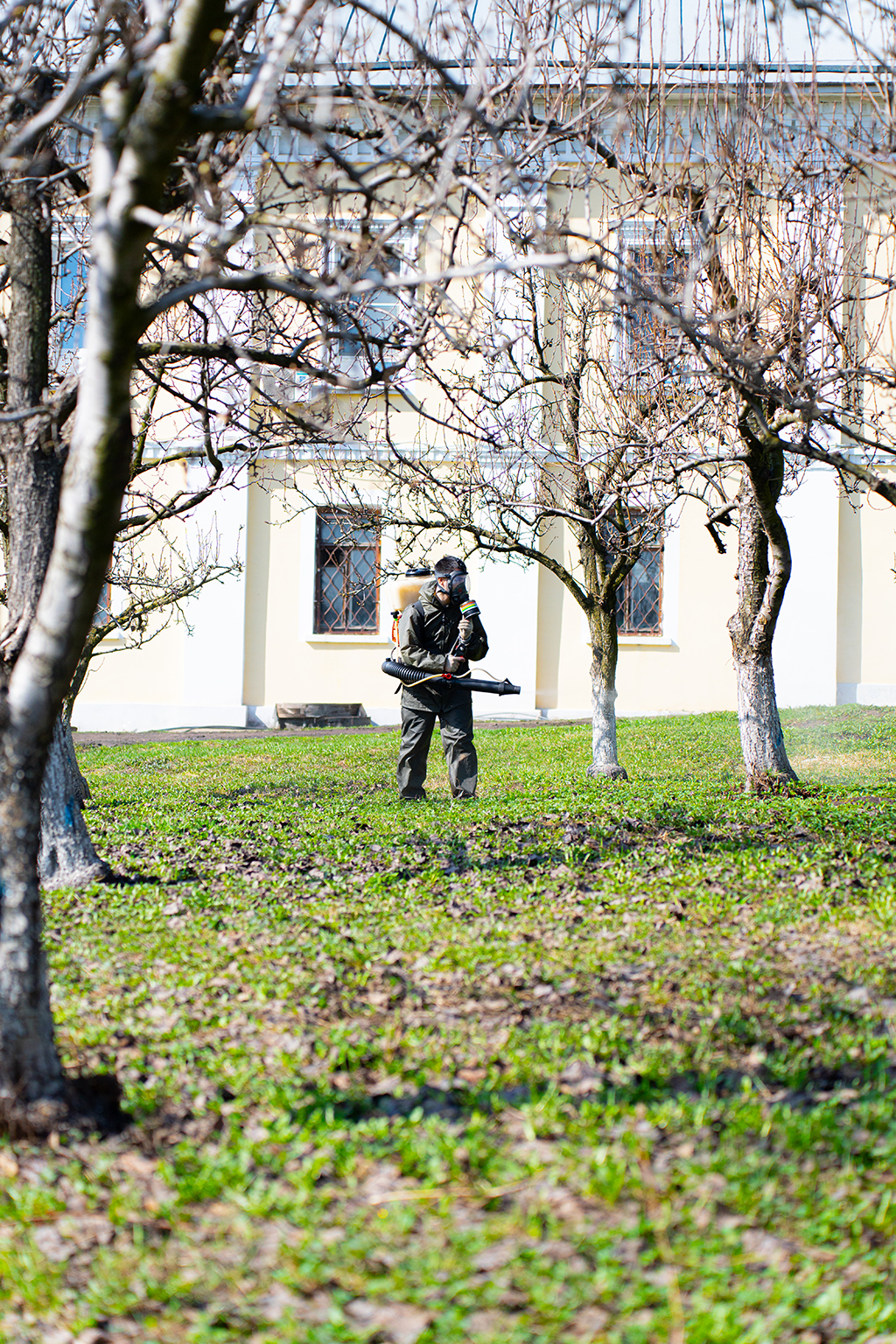 Какие проблемы возникают при обработке дачных участков, парков и садов от клещей весной в Солнечногорском районе и как с ними бороться?