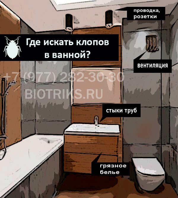 Где искать постельных и домашних клопов в ванной комнате квартиры в г. Подольск ?